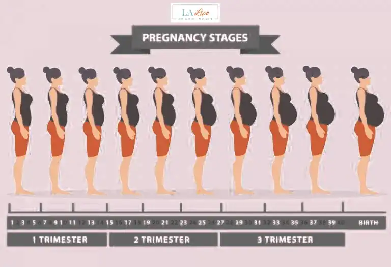 First Trimester (Weeks 1–12): Early Changes You Might Not Notice Plaistow